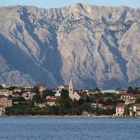 Alba *